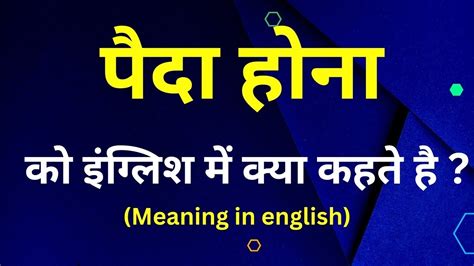 paida meaning in english|paidae meaning in hindi.